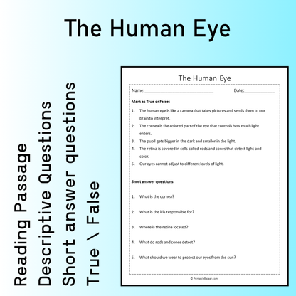 The Human Eye | Reading Comprehension Passage Printable Worksheet