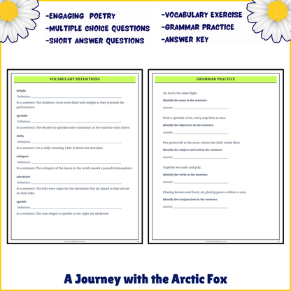 A Journey with the Arctic Fox | Poem Grammar Worksheet Printable Activity