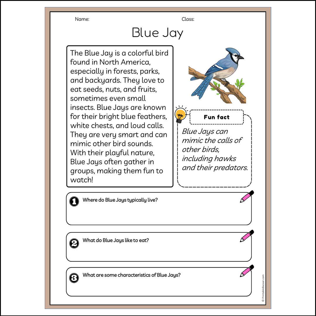 Blue Jay | Reading Passage Comprehension Questions Writing Facts Worksheet