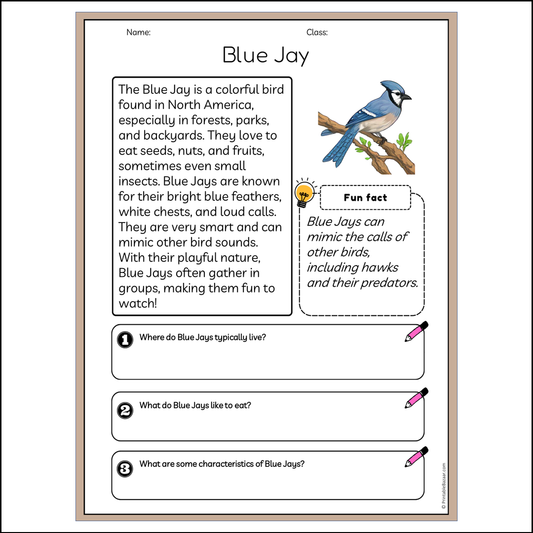 Blue Jay | Reading Passage Comprehension Questions Writing Facts Worksheet