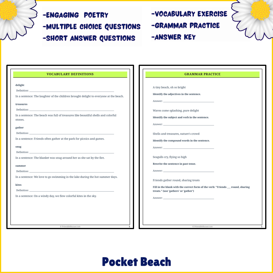 Pocket Beach | Poem Grammar Worksheet Printable Activity