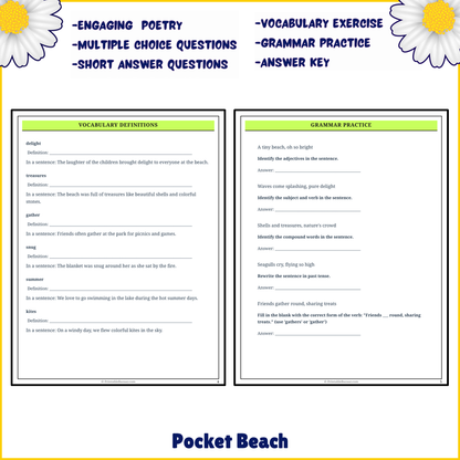 Pocket Beach | Poem Grammar Worksheet Printable Activity