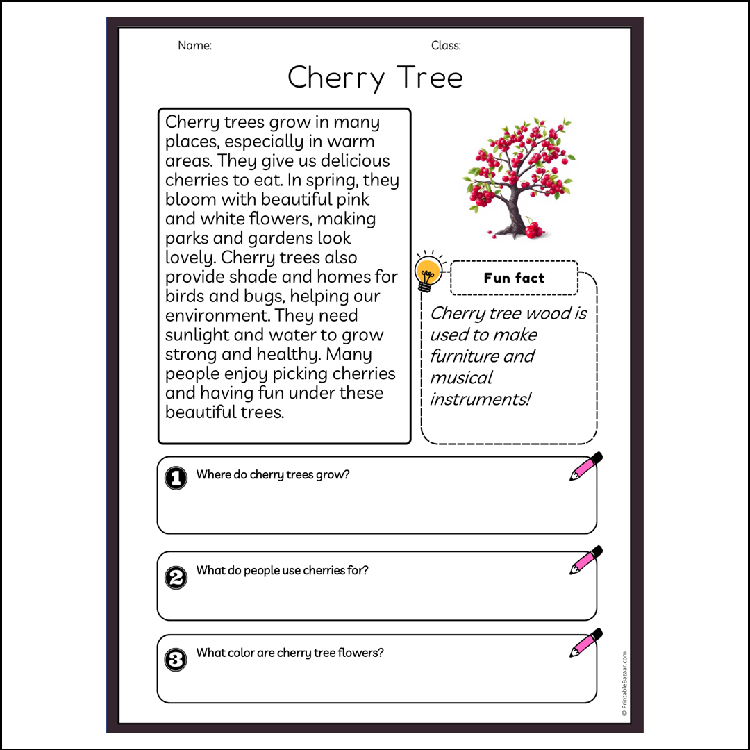 Cherry Tree | Reading Passage Comprehension Questions Writing Facts Worksheet