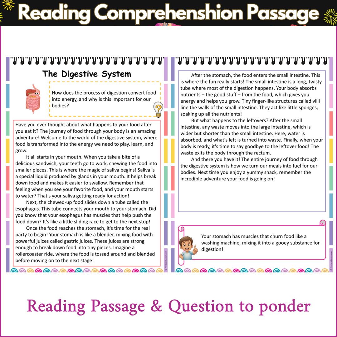 The Digestive System | Reading Comprehension Passage and Questions