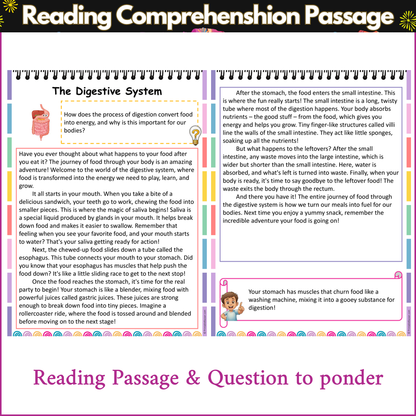 The Digestive System | Reading Comprehension Passage and Questions