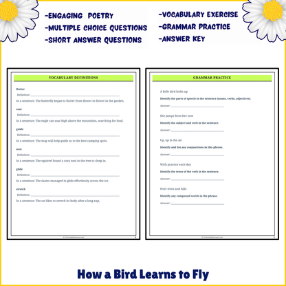 How a Bird Learns to Fly | Poem Grammar Worksheet Printable Activity