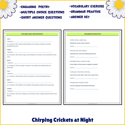 Chirping Crickets at Night | Poem Grammar Worksheet Printable Activity