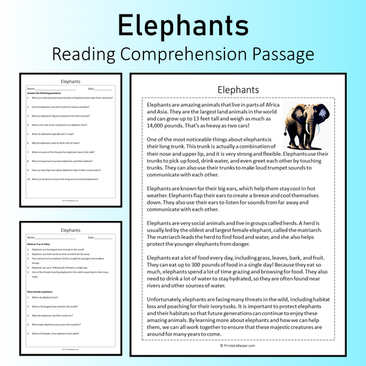 Elephants | Reading Comprehension Passage Printable Worksheet