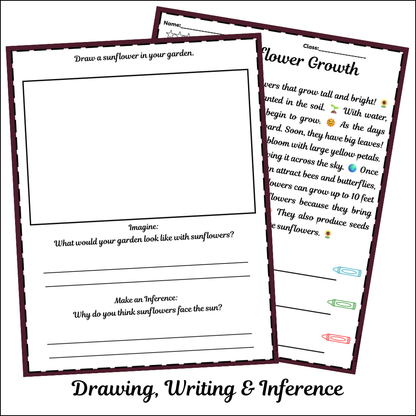 Sunflower Growth | Short Reading Comprehension Creative Worksheet