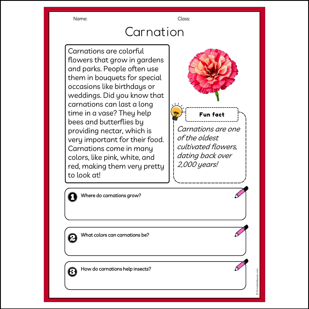 Carnation | Reading Passage Comprehension Questions Writing Facts Worksheet