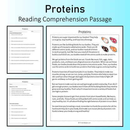 Proteins | Reading Comprehension Passage Printable Worksheet