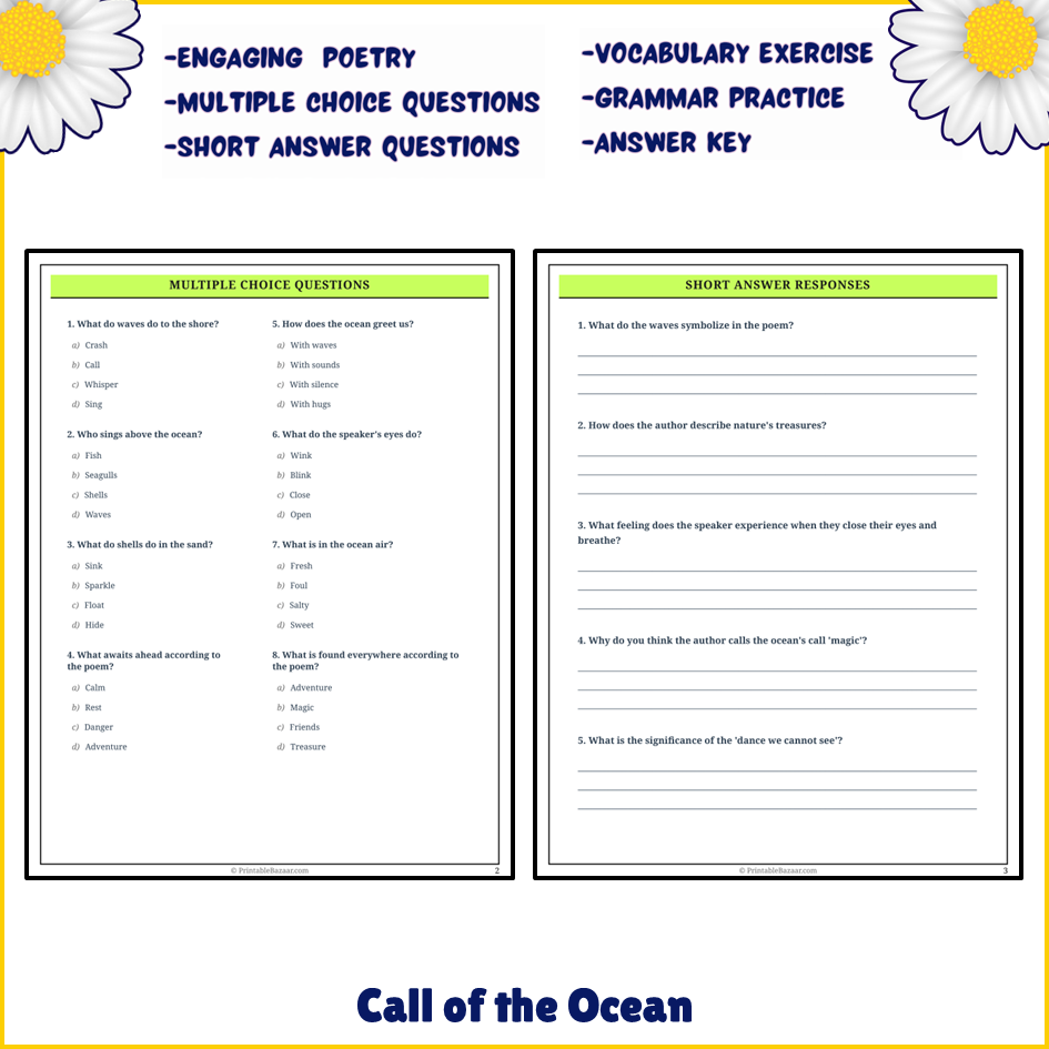 Call of the Ocean | Poem Grammar Worksheet Printable Activity