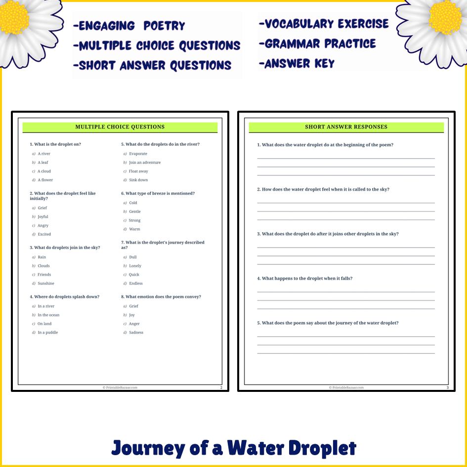 Journey of a Water Droplet | Poem Grammar Worksheet Printable Activity