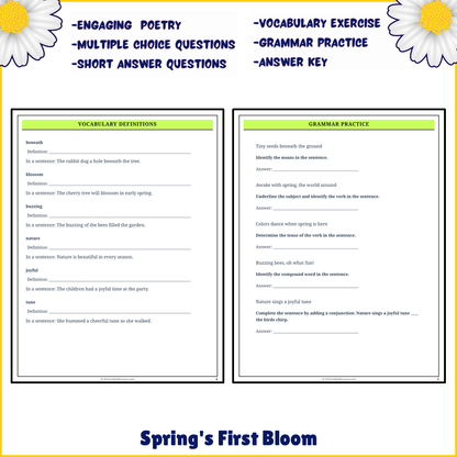 Spring's First Bloom | Poem Grammar Worksheet Printable Activity