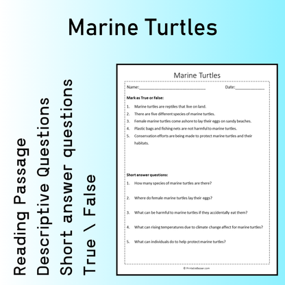 Marine Turtles | Reading Comprehension Passage Printable Worksheet