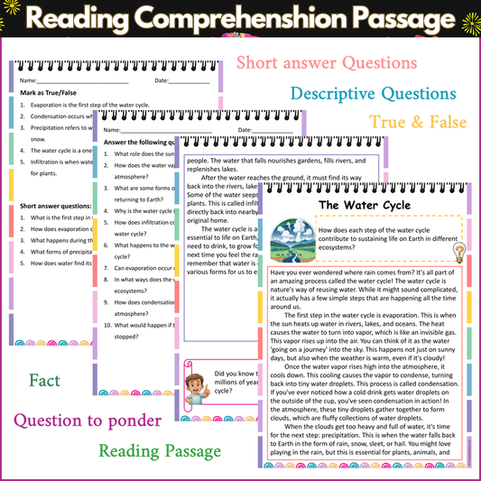 The Water Cycle | Reading Comprehension Passage and Questions