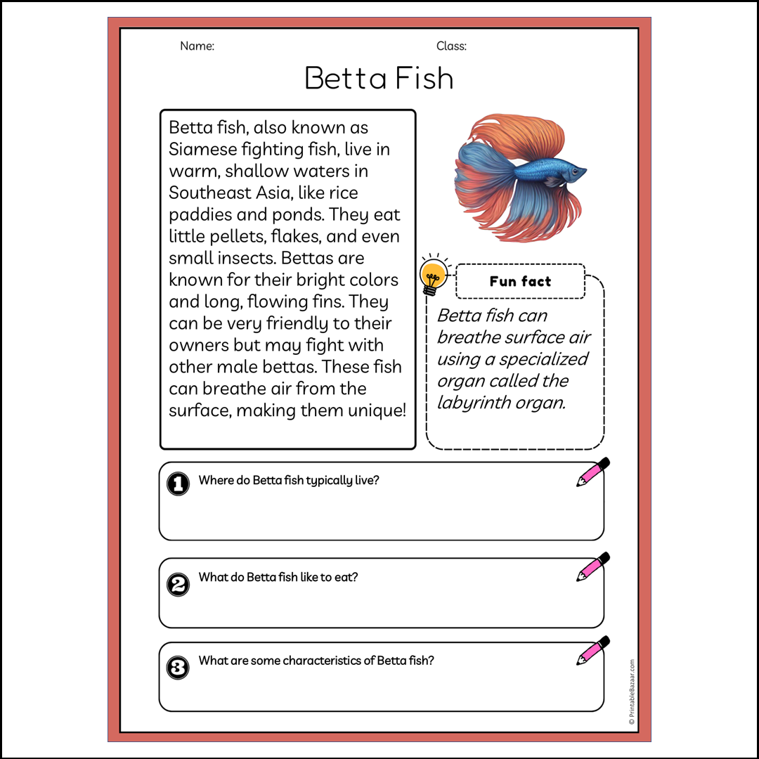 Betta Fish | Reading Passage Comprehension Questions Writing Facts Worksheet