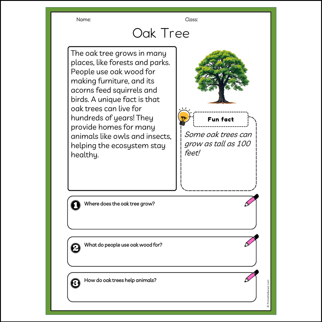 Oak Tree | Reading Passage Comprehension Questions Writing Facts Worksheet