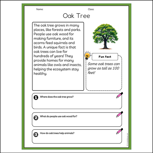 Oak Tree | Reading Passage Comprehension Questions Writing Facts Worksheet