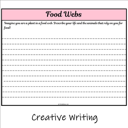 Food Webs | Main Idea and Supporting Details Reading Passage and Questions