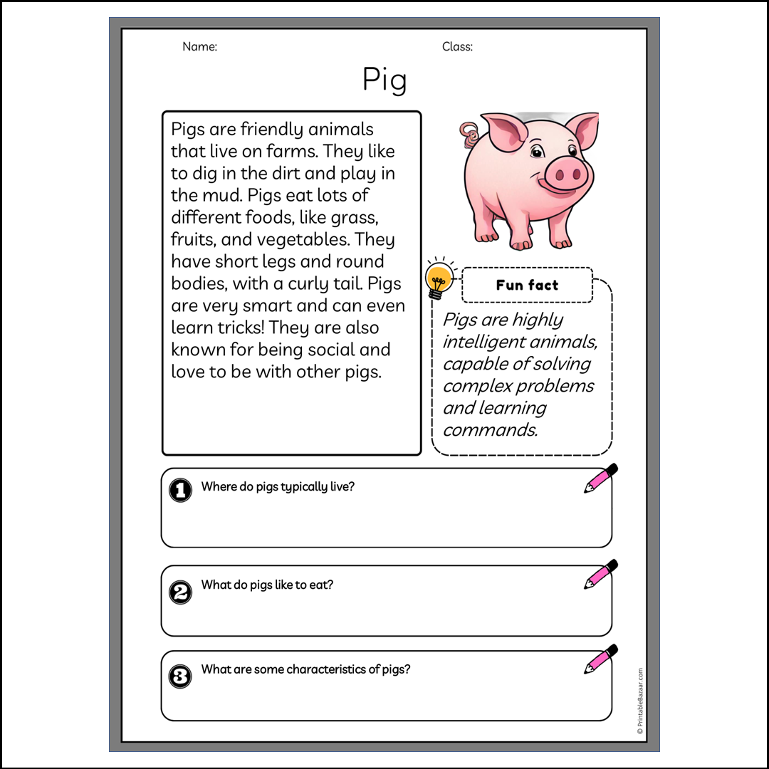 Pig | Reading Passage Comprehension Questions Writing Facts Worksheet