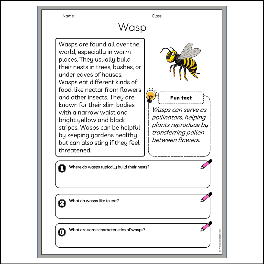 Wasp | Reading Passage Comprehension Questions Writing Facts Worksheet