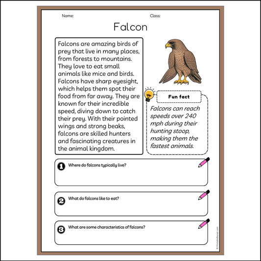 Falcon | Reading Passage Comprehension Questions Writing Facts Worksheet