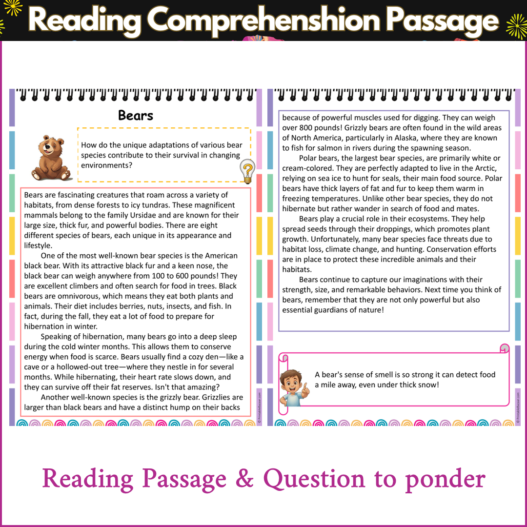 Bears | Reading Comprehension Passage and Questions