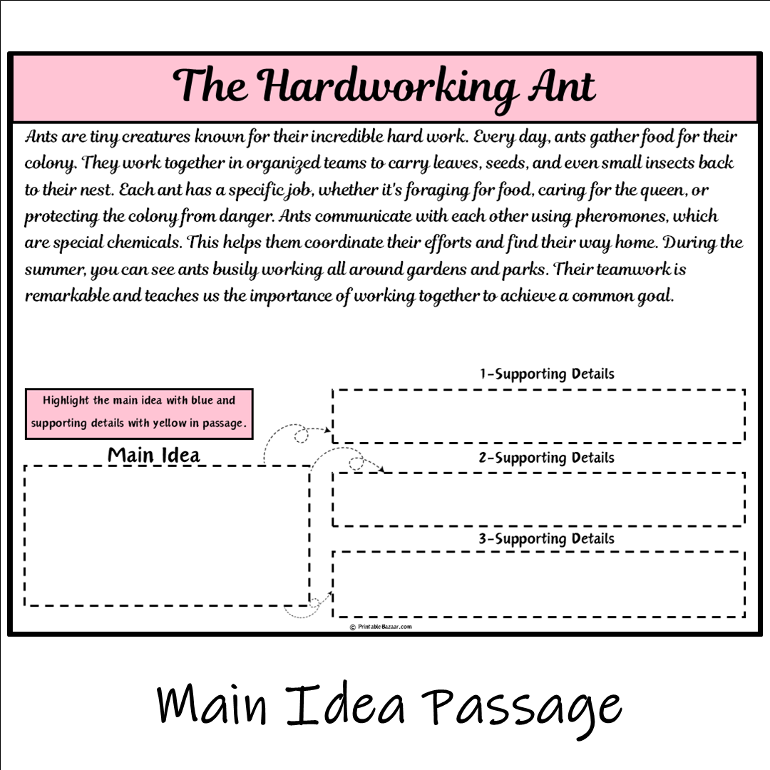 The Hardworking Ant | Main Idea and Supporting Details Reading Passage and Questions