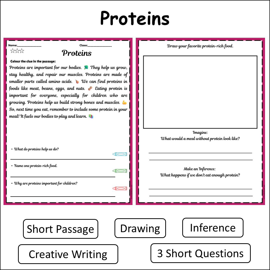 Proteins | Short Reading Comprehension Creative Worksheet