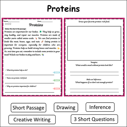 Proteins | Short Reading Comprehension Creative Worksheet