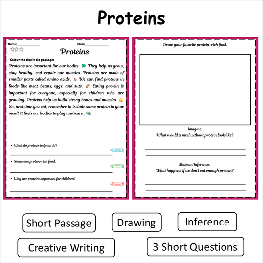 Proteins | Short Reading Comprehension Creative Worksheet