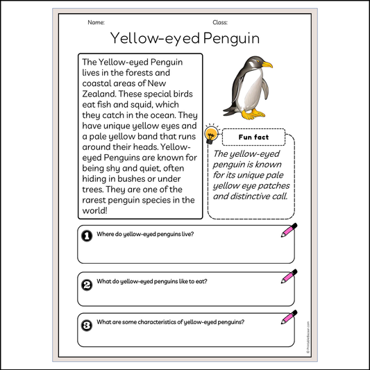 Yellow-eyed Penguin | Reading Passage Comprehension Questions Writing Facts Worksheet