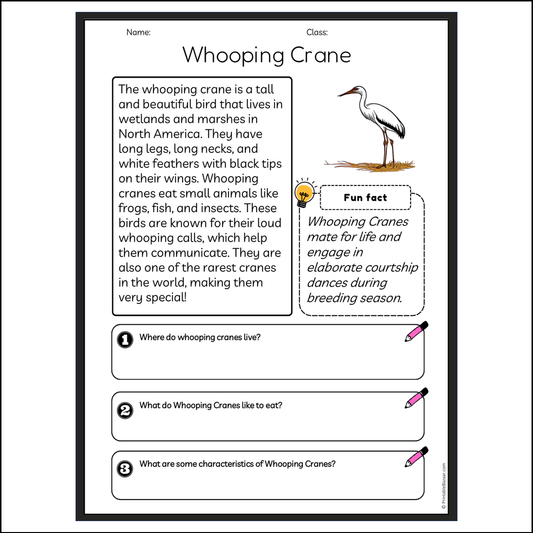 Whooping Crane | Reading Passage Comprehension Questions Writing Facts Worksheet