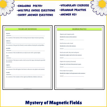 Mystery of Magnetic Fields | Poem Grammar Worksheet Printable Activity