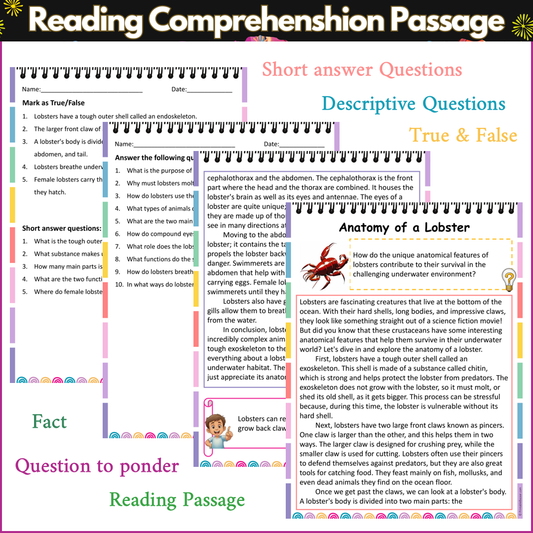 Anatomy of a Lobster | Reading Comprehension Passage and Questions