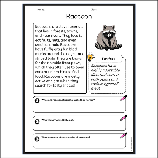 Raccoon | Reading Passage Comprehension Questions Writing Facts Worksheet