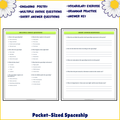 Pocket-Sized Spaceship | Poem Grammar Worksheet Printable Activity