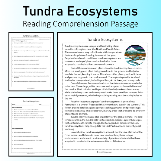 Tundra Ecosystems | Reading Comprehension Passage Printable Worksheet