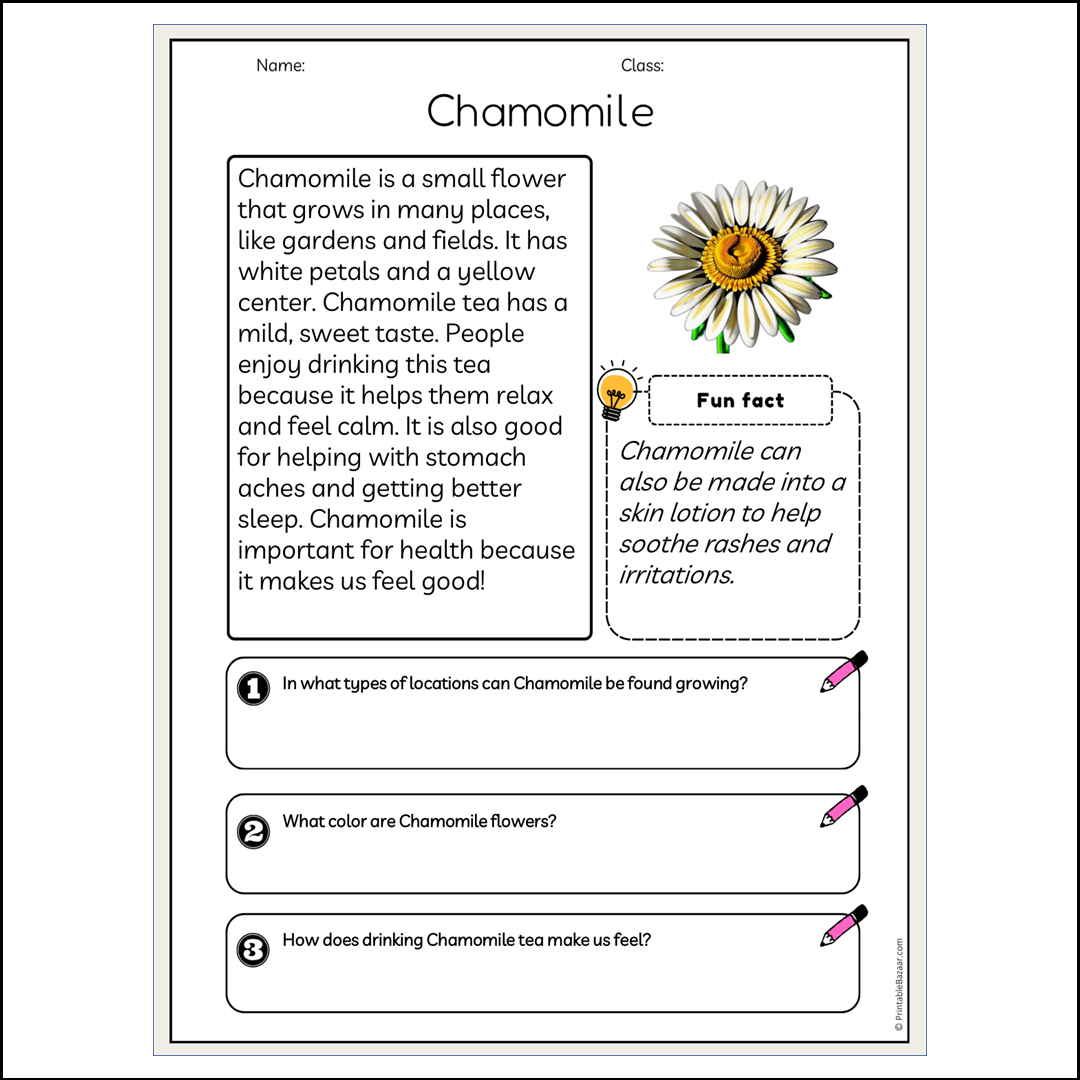 Chamomile | Reading Passage Comprehension Questions Writing Facts Worksheet