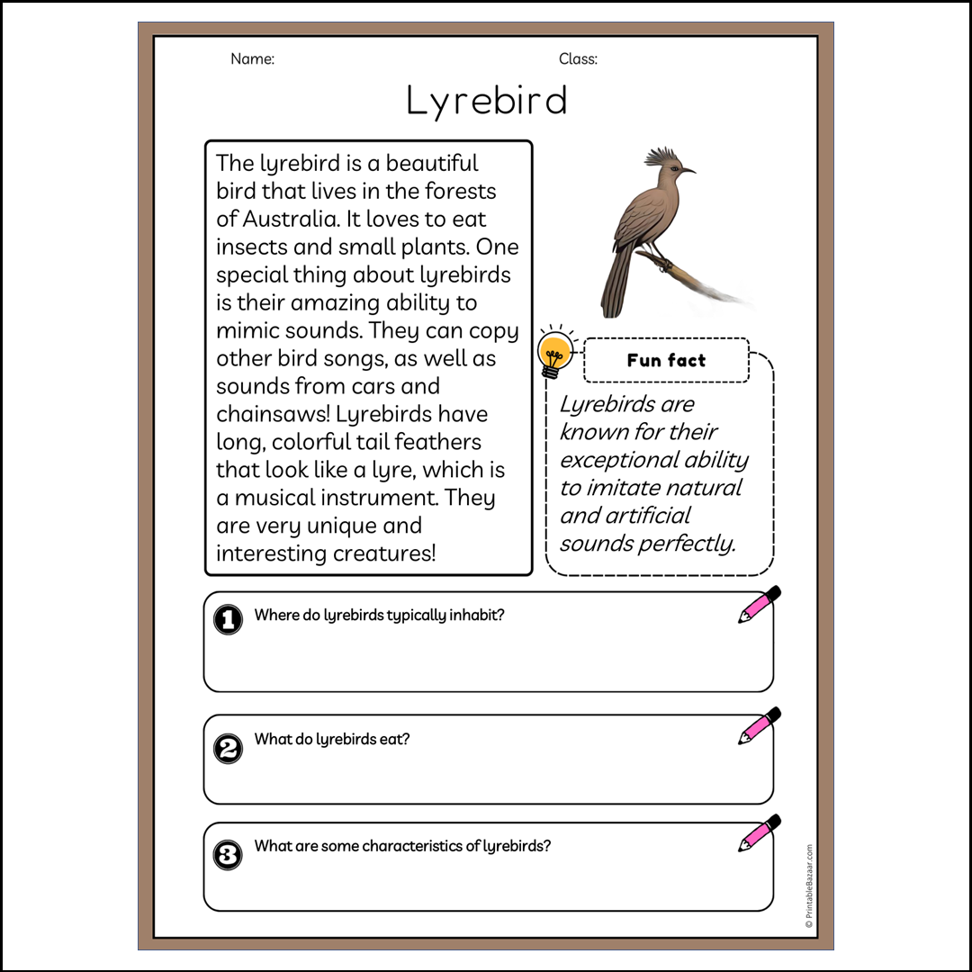 Lyrebird | Reading Passage Comprehension Questions Writing Facts Worksheet