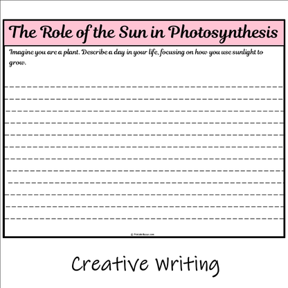 The Role of the Sun in Photosynthesis | Main Idea and Supporting Details Reading Passage and Questions