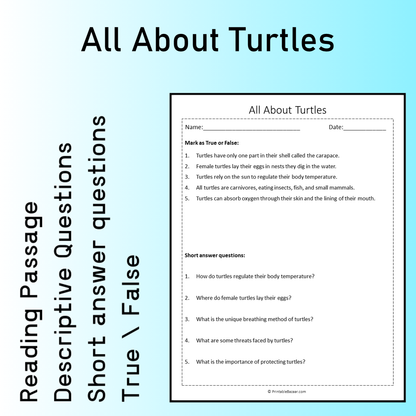 All About Turtles | Reading Comprehension Passage Printable Worksheet