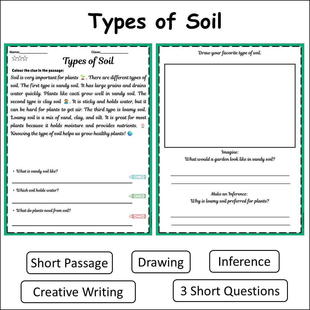 Types of Soil | Short Reading Comprehension Creative Worksheet