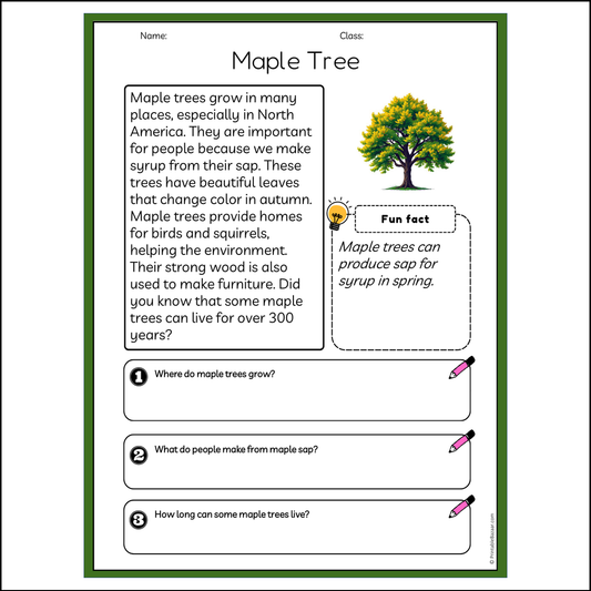 Maple Tree | Reading Passage Comprehension Questions Writing Facts Worksheet