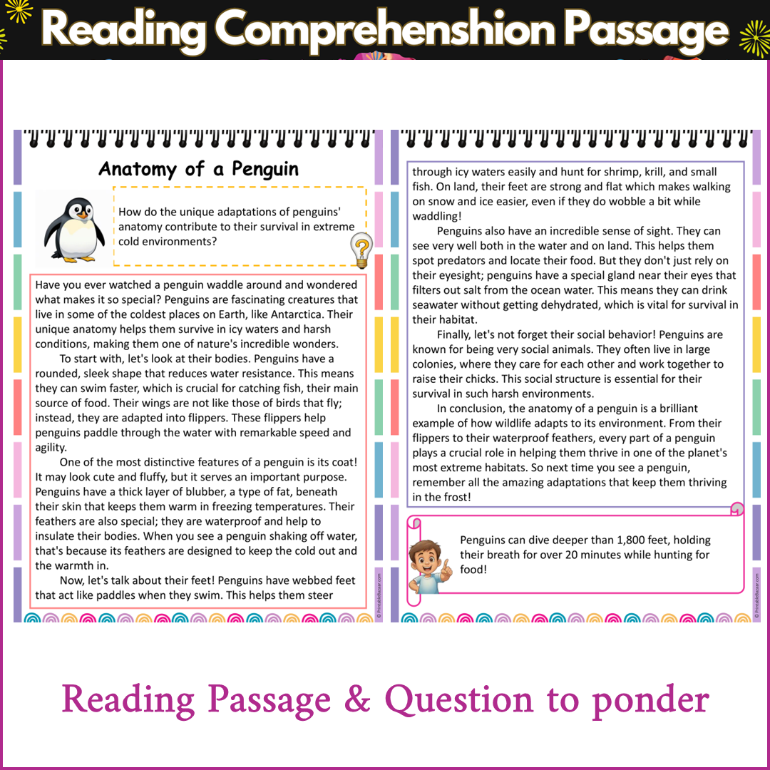 Anatomy of a Penguin | Reading Comprehension Passage and Questions