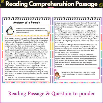 Anatomy of a Penguin | Reading Comprehension Passage and Questions