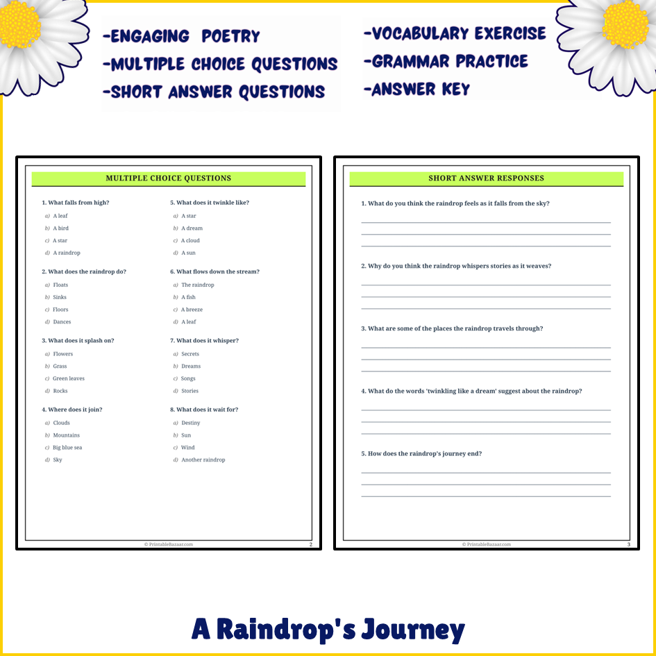 A Raindrop's Journey | Poem Grammar Worksheet Printable Activity