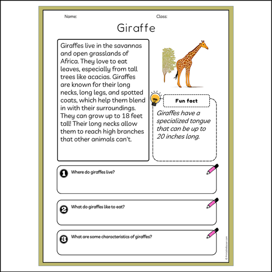 Giraffe | Reading Passage Comprehension Questions Writing Facts Worksheet