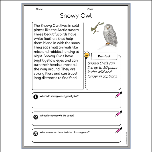 Snowy Owl | Reading Passage Comprehension Questions Writing Facts Worksheet